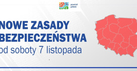 Zamknięte kina, nauka zdalna, ograniczenia w galeriach handlowych