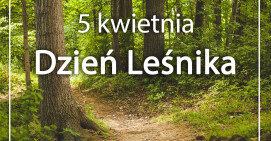 Szanujmy lasy i pracę leśników