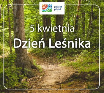Szanujmy lasy i pracę leśników