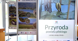 Wystawa o przyrodzie powiatu pilskiego w MDK Iskra i BWA w Pile