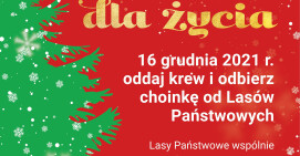 Oddaj krew. W prezencie otrzymasz choinkę na święta  