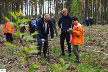 Starosta Pilski wziął udział w akcji sadzenia drzewek 