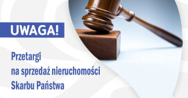 Działki na sprzedaż. 15 listopada mija termin wpłacenia wadium 