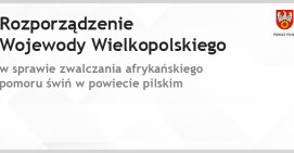 Działania związane z afrykańskim pomorem świń w powiecie pilskim 