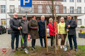 Przed budynkiem starostwa posadzono 25 nowych drzew