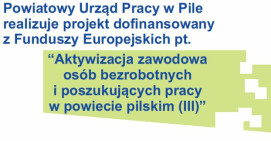 Aktywizacja zawodowa osób bezrobotnych i poszukujących pracy w powiecie pilskim (III)