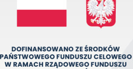 Przebudowa drogi powiatowej nr 1177P w miejscowości Krzewina