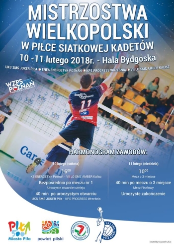 Mistrzostwa Wielkopolski w piłce siatkowej kadetów