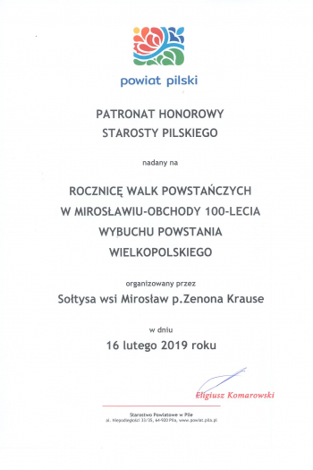 Rocznica walk powstańczych - Obchody 100-lecia Wybuchu Powstania Wielkopolskiego 