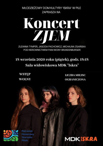 Koncert zespołu "Zjem" w MDK Iskra w Pile  