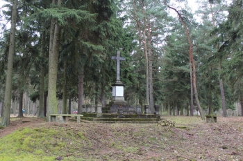 Porządkowanie drzewostanu na cmentarzu jenieckim w Leszkowie