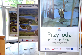 Wystawa o przyrodzie powiatu pilskiego w MDK Iskra i BWA w Pile
