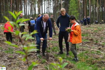 Starosta Pilski wziął udział w akcji sadzenia drzewek 