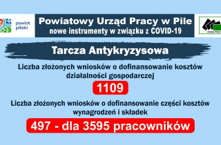 Kopia_zapasowa_PUP TARCZA ANTYKRYZYSOWA 30.07MW3